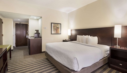 Standard Room, 1 King Bed, Accessible, Refrigerator & Microwave