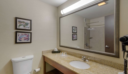 Suite, 1 King Bed, Non Smoking