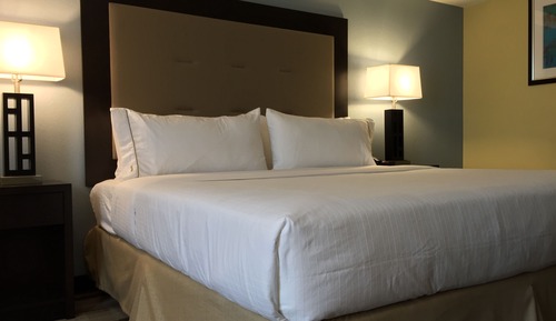 Standard Room, 1 King Bed, Accessible (Mobil Roll In Shwr)
