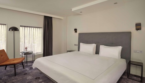 Executive Room, 1 King Bed