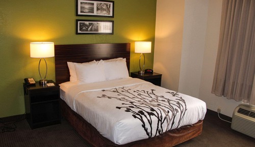 Room, 1 Queen Bed, Accessible, Non Smoking
