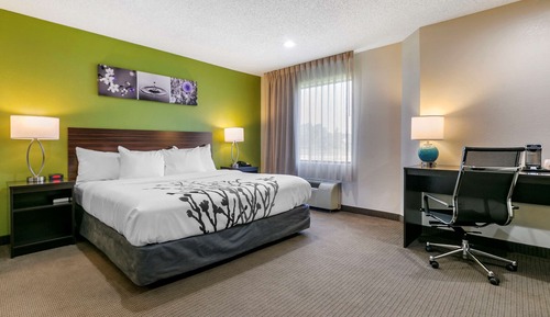 Room, 1 King Bed, Non Smoking