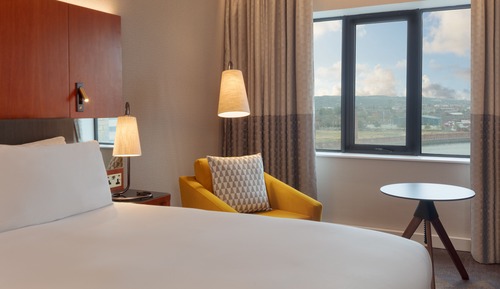 Room, 1 King Bed