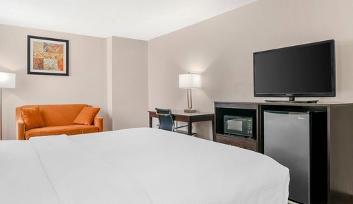 Room, 1 King Bed, Non Smoking