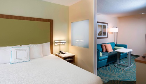 Suite, 1 King Bed with Sofa bed, Non Smoking