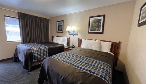 Standard Room, 2 Double Beds