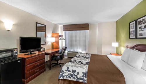 Room, 1 Queen Bed, Accessible, Non Smoking
