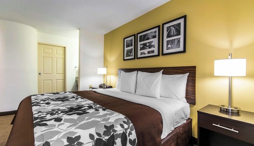 Standard Room, 1 King Bed, Non Smoking