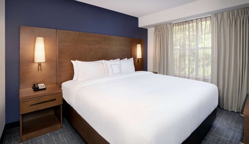 Suite, 1 King Bed with Sofa bed, Accessible (Hearing One Bedroom)