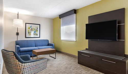 Suite, 1 King Bed with Sofa bed