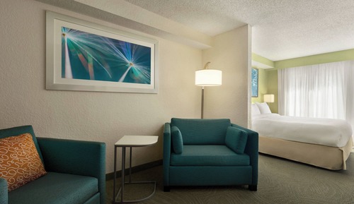 Suite, 1 King Bed with Sofa bed, Non Smoking