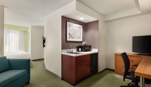 Suite, 1 King Bed with Sofa bed, Non Smoking (Mobility/Hearing Accessible, Tub)