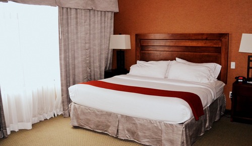 Suite, 1 King Bed