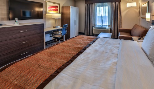 Suite, 1 King Bed, Non Smoking, Refrigerator & Microwave (with Sofabed)