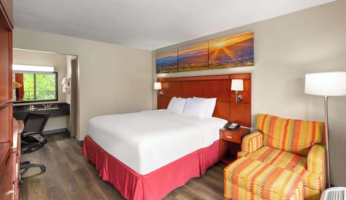 Room, 1 King Bed, Non Smoking