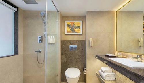Club Room, 1 King Bed, Garden View