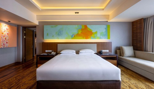 Room, 1 King Bed (View)