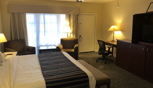 Deluxe Room, 1 King Bed, Non Smoking (First Floor)