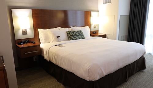 Room, 1 King Bed