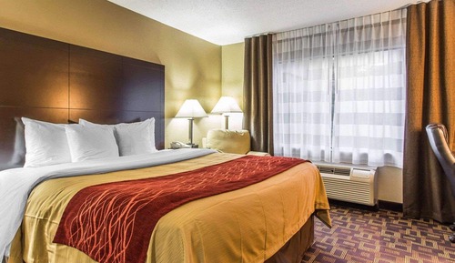 Standard Room, 1 King Bed, Non Smoking