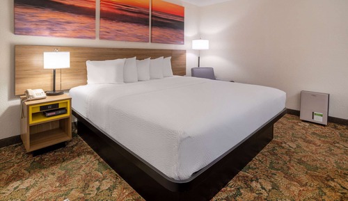 Room, 1 King Bed, Non Smoking