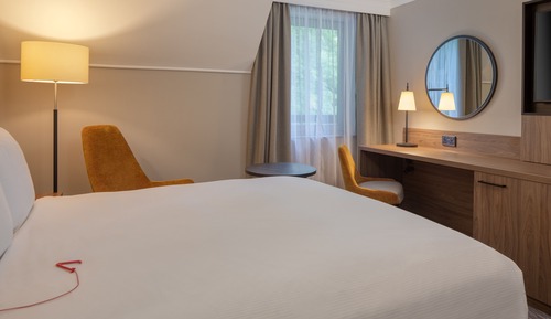 Room, 1 Queen Bed, Accessible