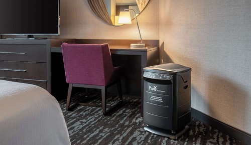 Suite, 1 King Bed, Allergy Friendly