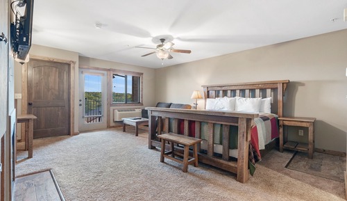 Studio Lake View Condo - Walk-In Level - 1206