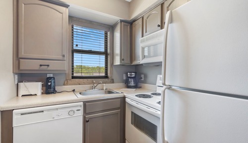 Studio Luxury Condo - Terrace Level - 1101A