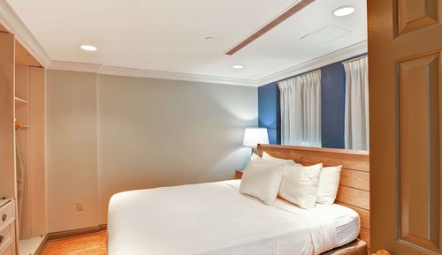 Room, 1 King Bed, Accessible (Roll-In Shower)