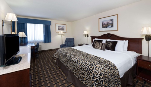 Studio Suite, 1 King Bed, Non Smoking