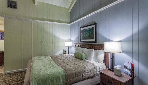 Room, 1 King Bed