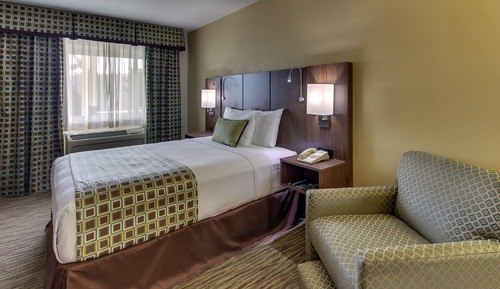 Junior Single Room, 1 Queen Bed, Non Smoking, Refrigerator