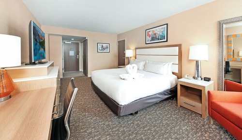 Room, 1 King Bed, Accessible, Non Smoking