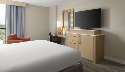 Room, 1 King Bed, Non Smoking
