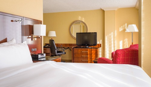 Room, 1 King Bed