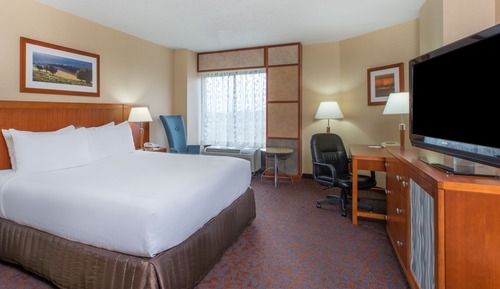 Premium Room, 1 King Bed, Accessible Bathtub (Communications, Accessible Tub)