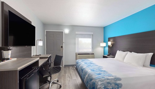 Room, 1 King Bed, Non Smoking