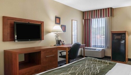 Room, 1 King Bed, Non Smoking