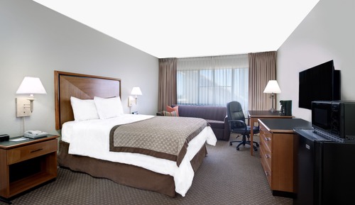 Room, 1 Queen Bed