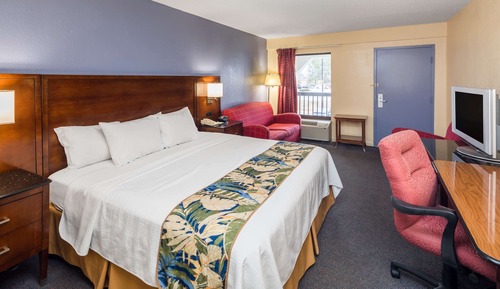 Room, 1 King Bed