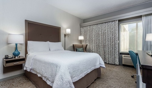 Room, 1 Queen Bed, Accessible, Bathtub (Hearing)