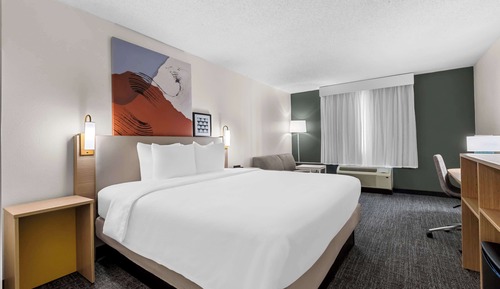 Room, 1 King Bed