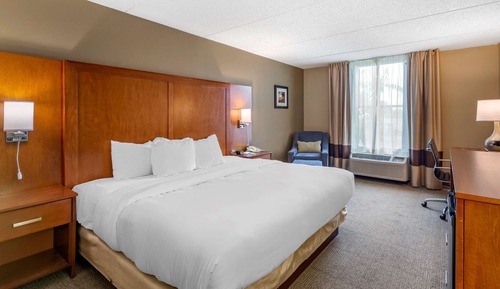 Room, 1 King Bed with Sofa bed, Accessible, Non Smoking (Accessible Tub)