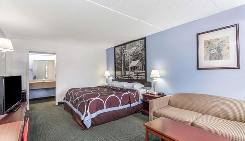 Standard Room, 1 King Bed, Non Smoking