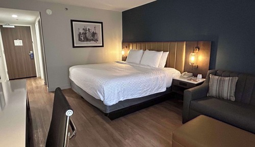 Standard Room, 1 King Bed, Non Smoking, Refrigerator & Microwave (with Sofabed)