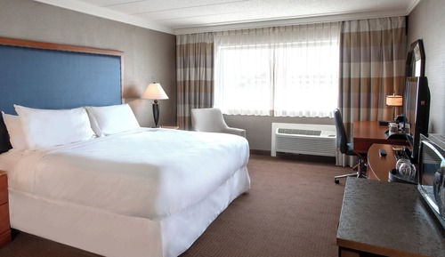 Room, 1 King Bed