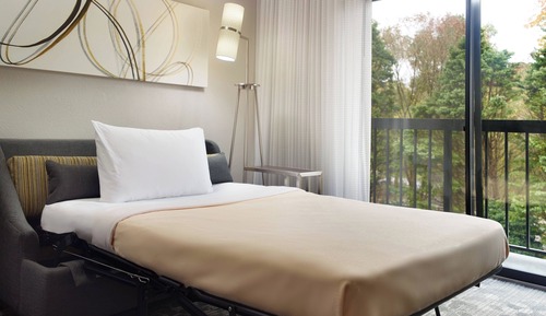 Room, 1 King Bed with Sofa bed (Mobility/Hearing Access, Roll-In Shwr)