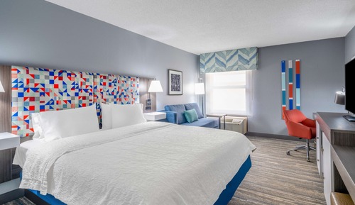 Room, 1 King Bed, Non Smoking