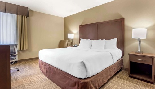Room, 1 King Bed, Non Smoking